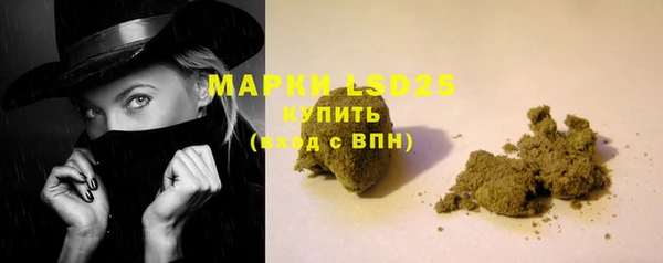 спайс Аркадак