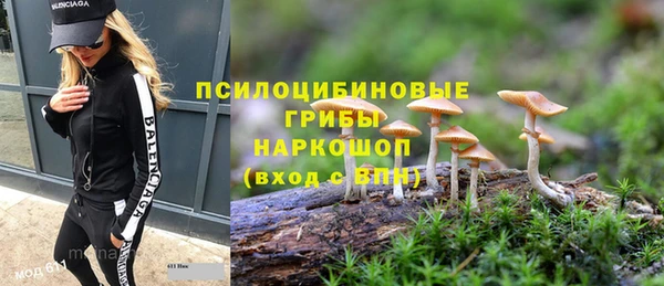 PSILOCYBIN Баксан